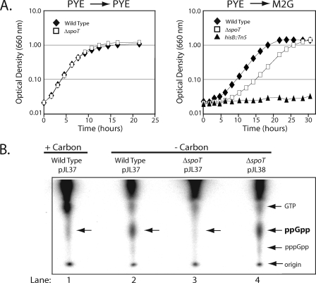 FIG. 4.