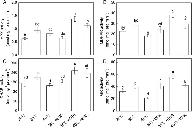 Figure 4.