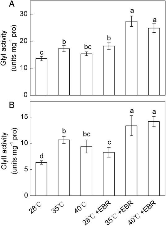 Figure 6.