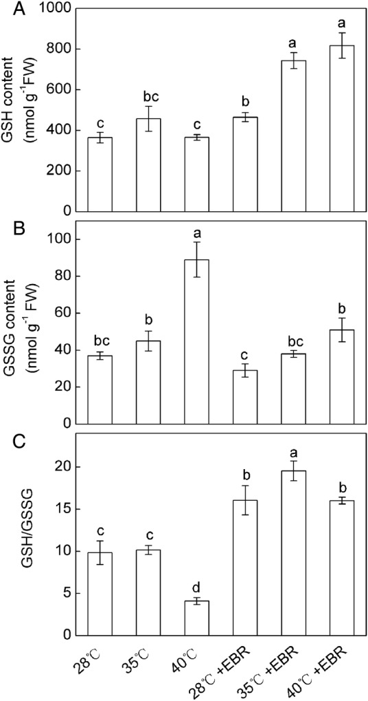 Figure 2.