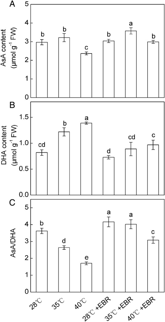 Figure 3.