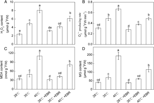 Figure 1.