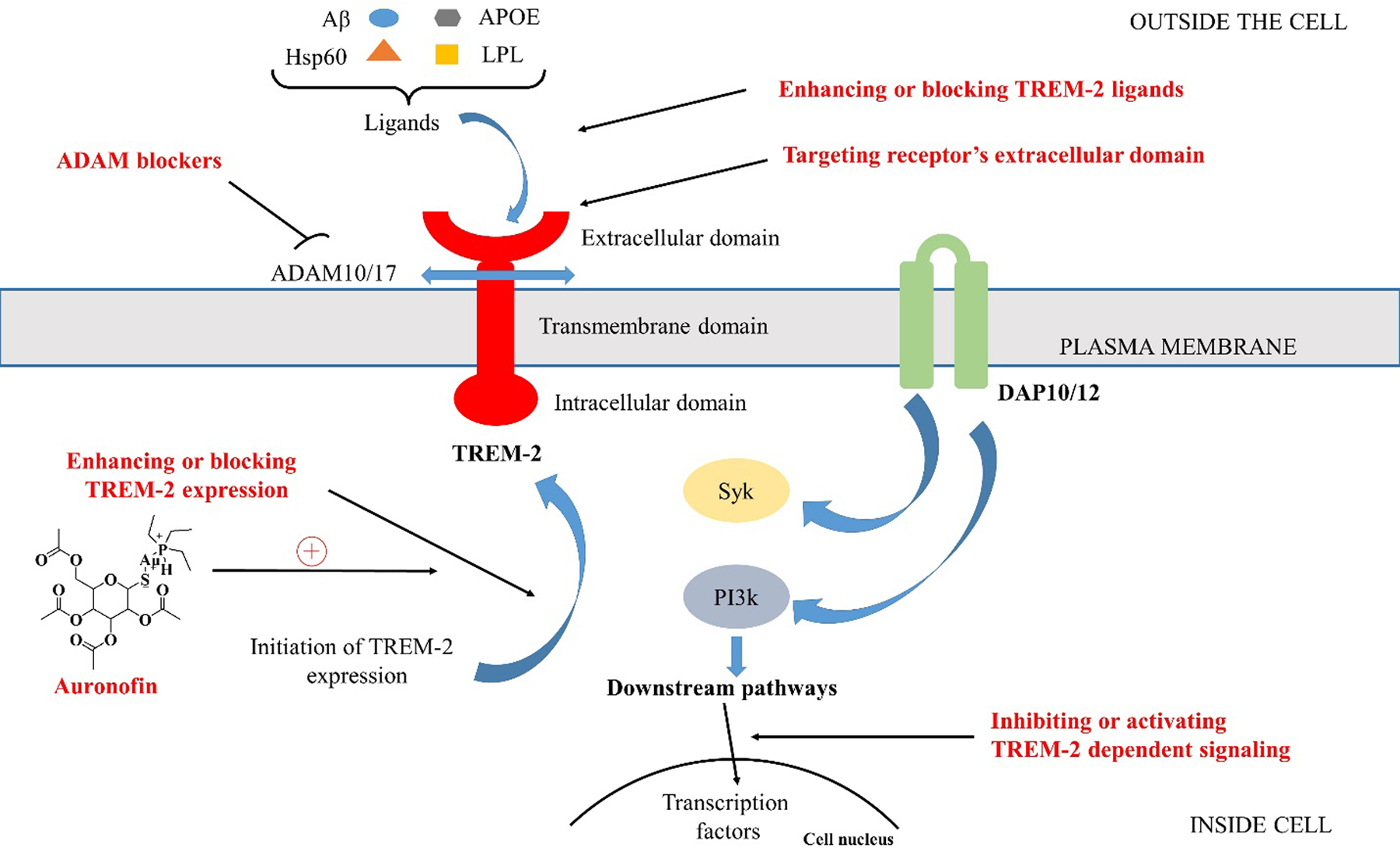 Figure 2: