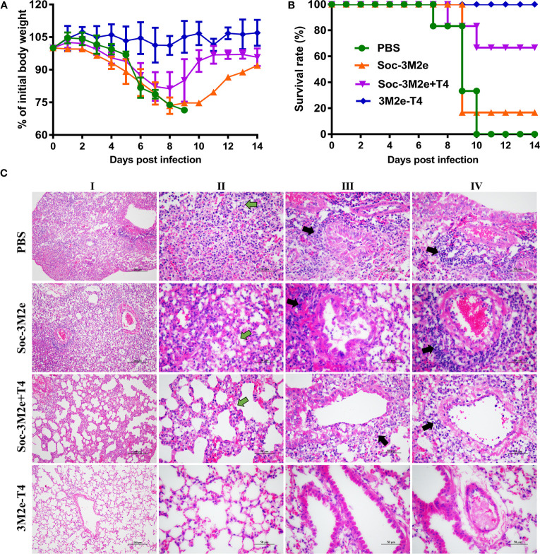 Figure 6