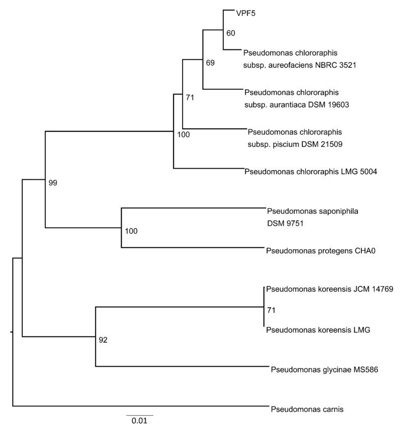 Figure 7