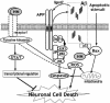 Fig (3)