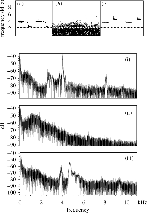 Figure 5.