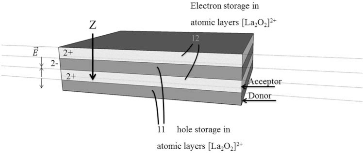 Fig. (1)