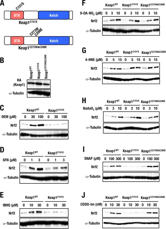 FIG 8