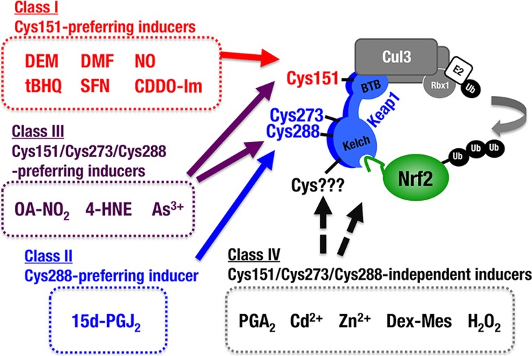 FIG 10