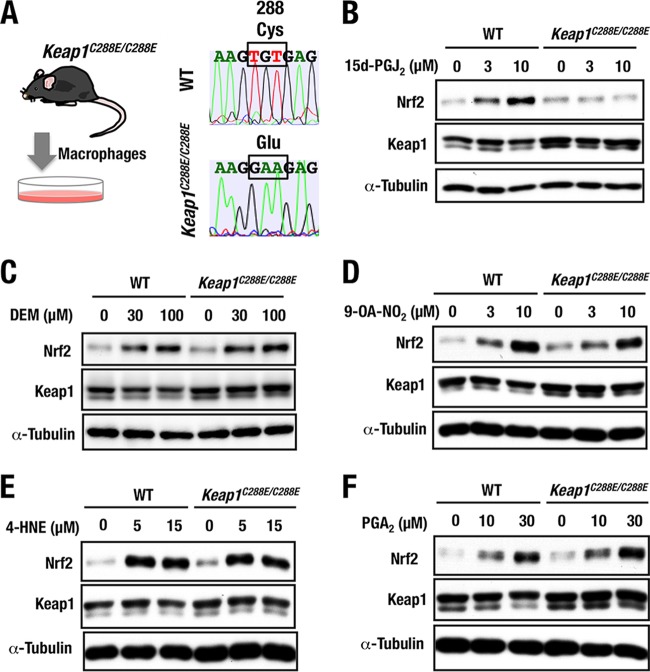 FIG 6