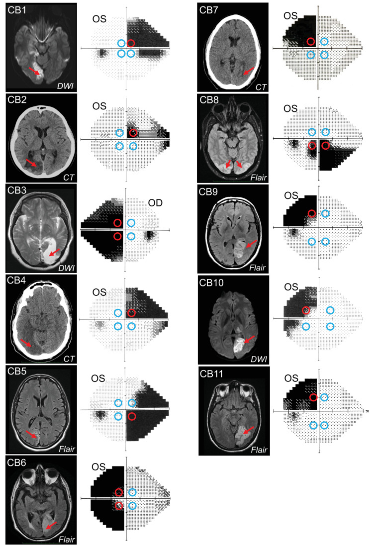 Figure 1.