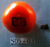 Fig. 8.