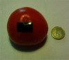 Fig. 3.