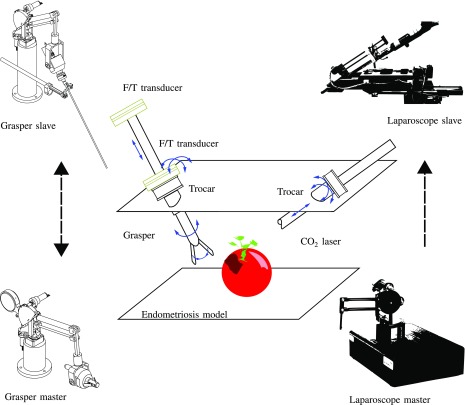 Fig. 4.