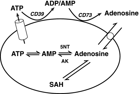 Fig. 2.