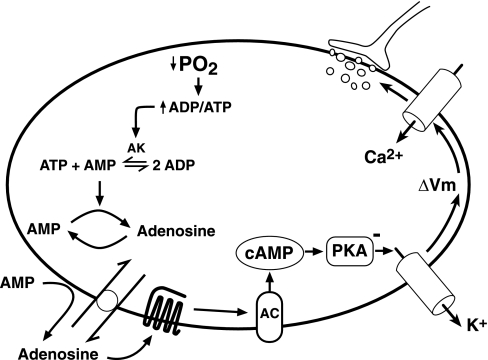 Fig. 3.