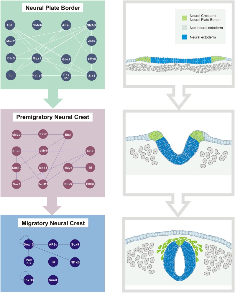 Figure 3.