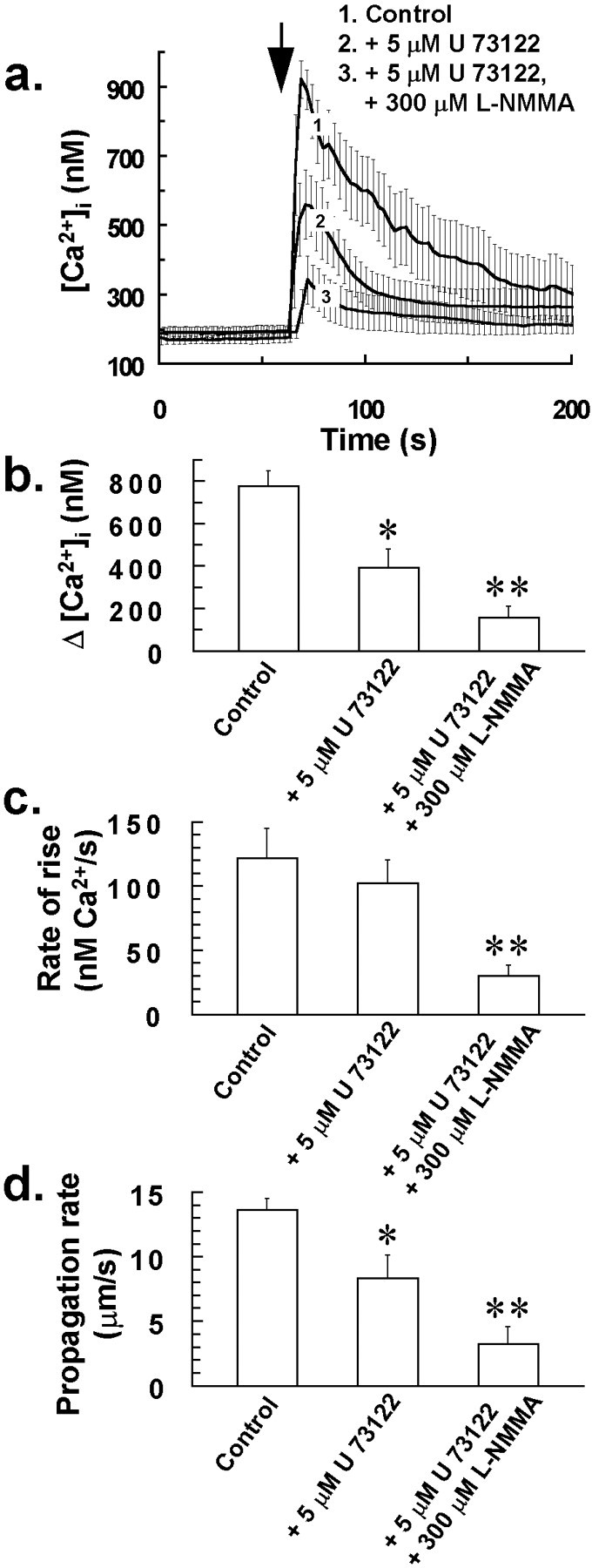 Fig. 7.