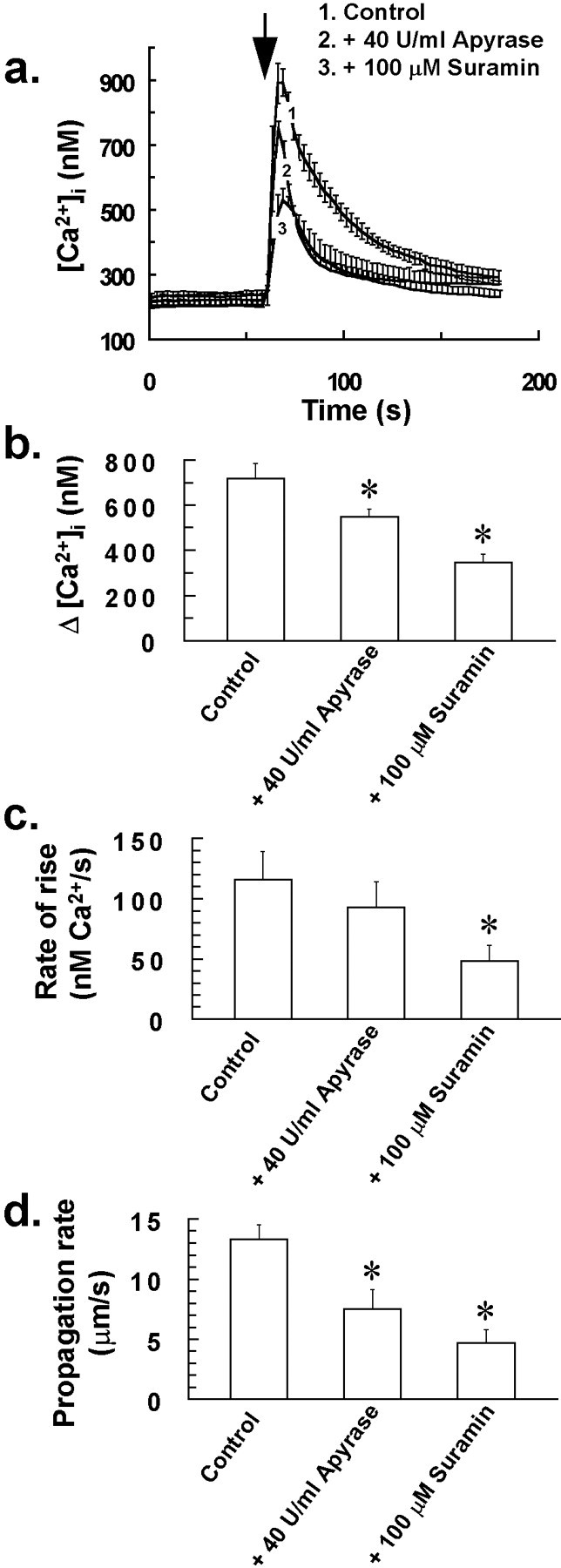 Fig. 10.