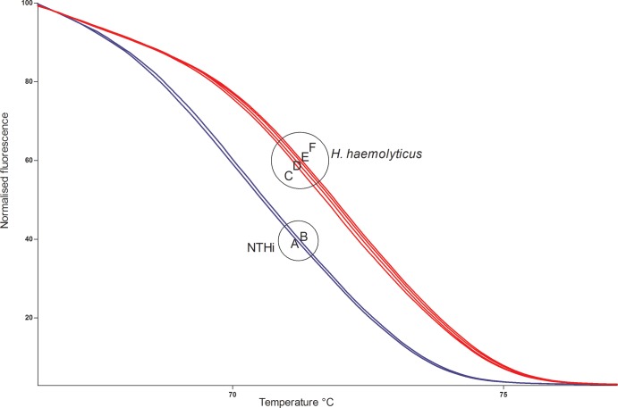 FIG 1