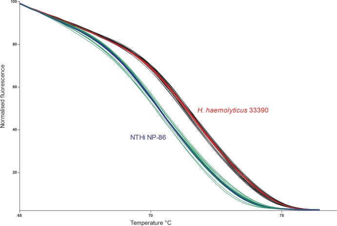 FIG 2