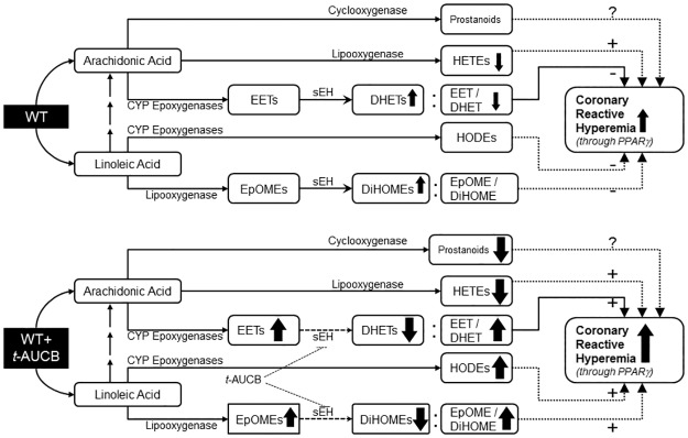 Fig 12