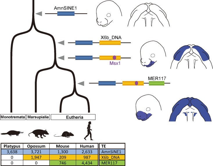 Fig 4