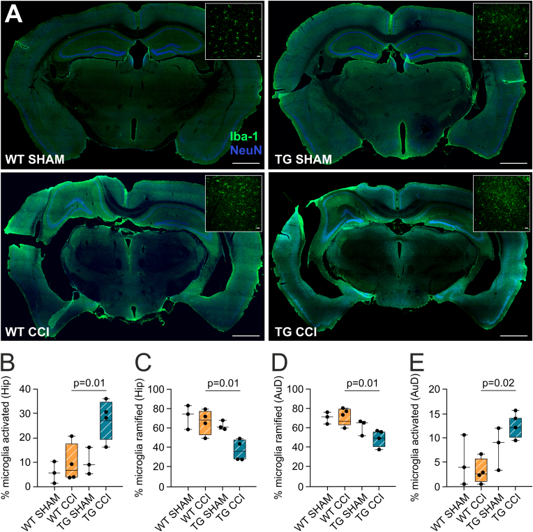 Fig. 4