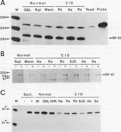 graphic file with name molcellb00132-0425-a.jpg