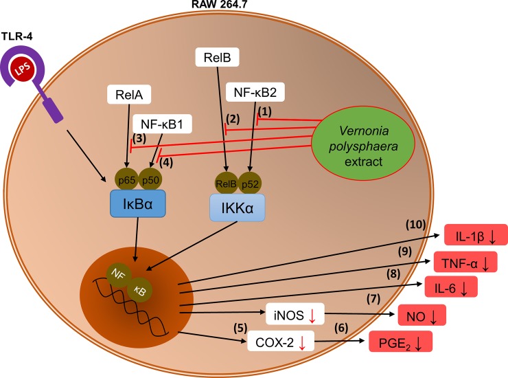 Fig 6