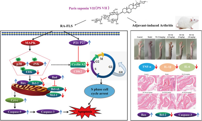 FIGURE 13