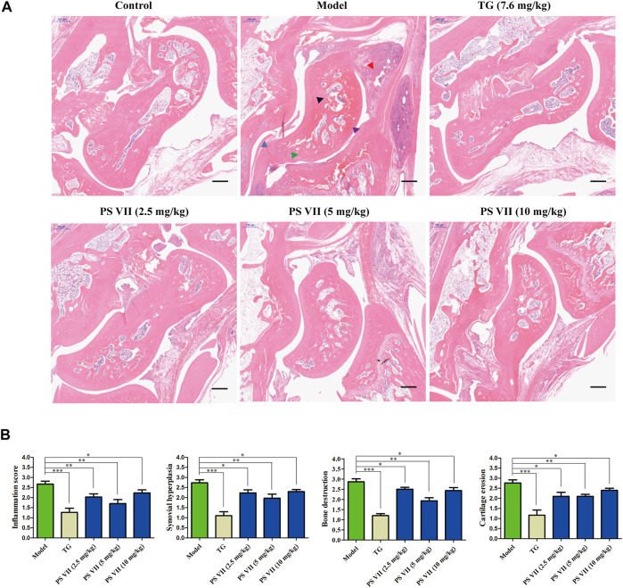 FIGURE 11