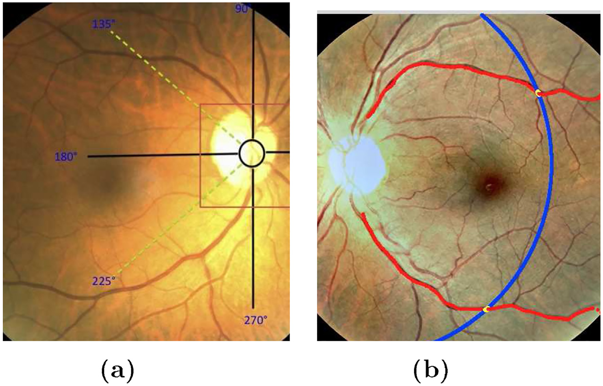 Fig. 3.