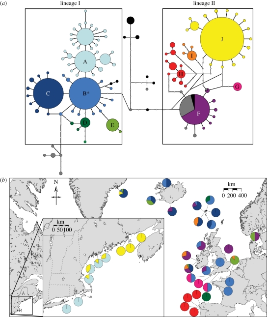 Figure 2.