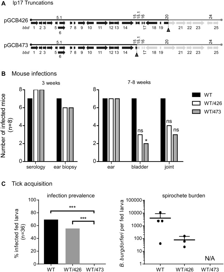 FIG 4 