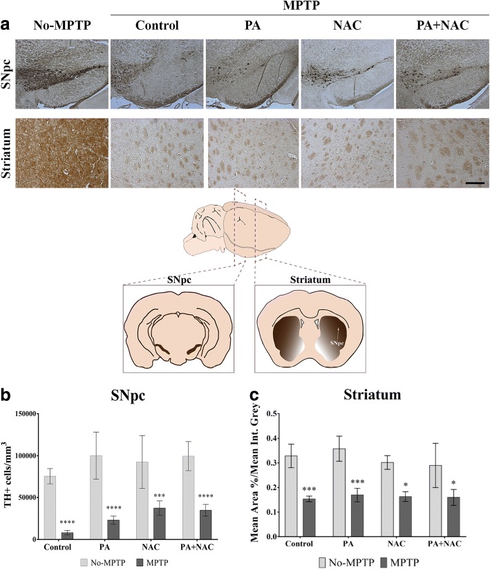 Fig. 3