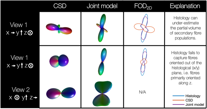 Fig. 12