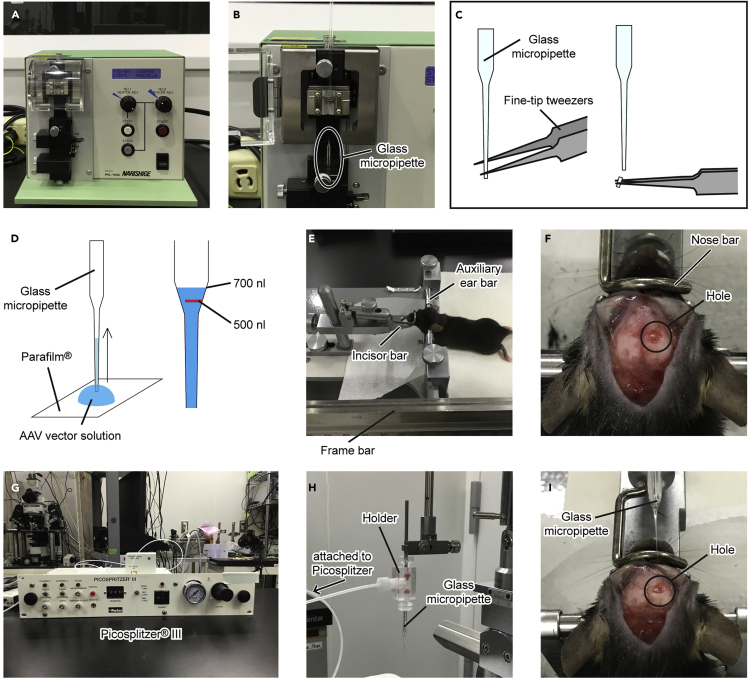 Figure 3