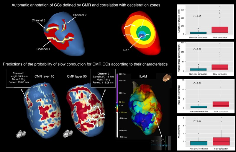 Graphical Abstract