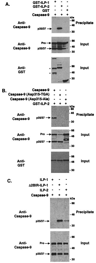 FIG. 5