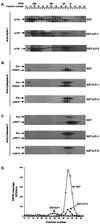 FIG. 6