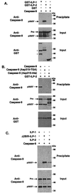 FIG. 5