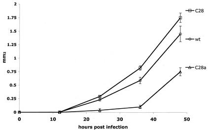 FIG. 1.