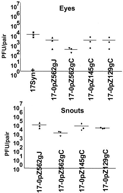 FIG. 5.