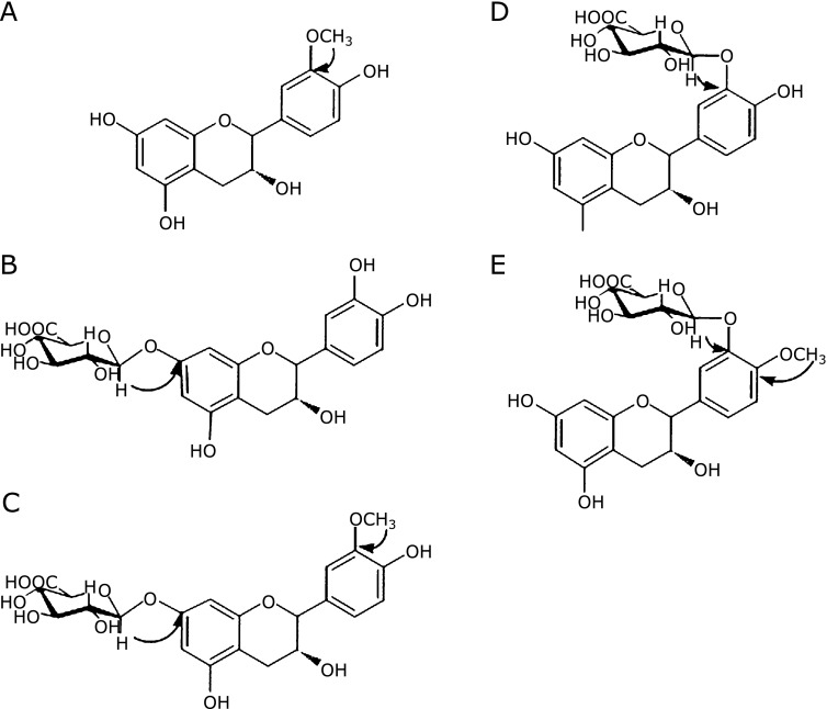 Fig. 3