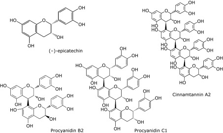 Fig. 1