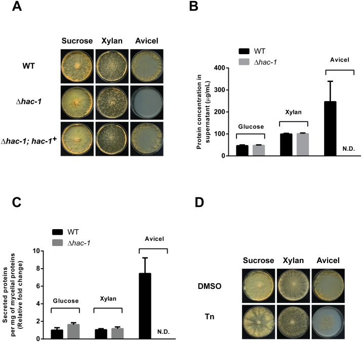 Fig 4