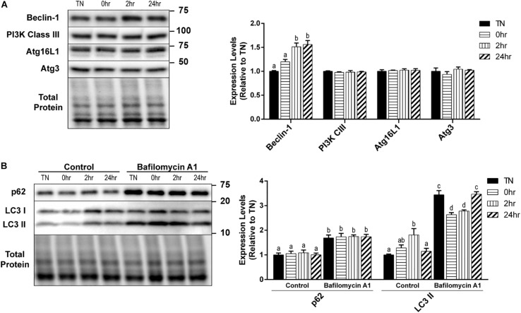 FIGURE 3