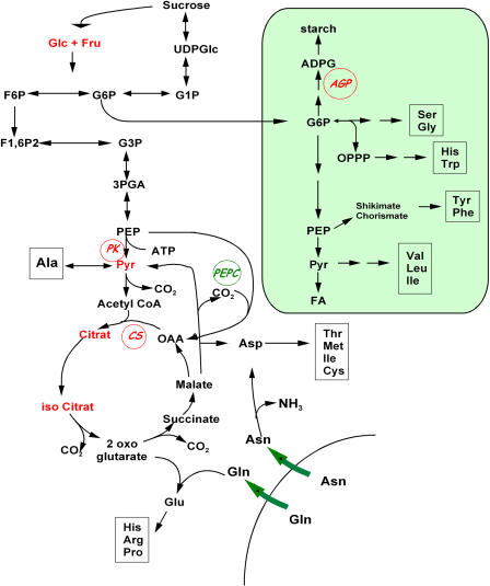 Figure 10.